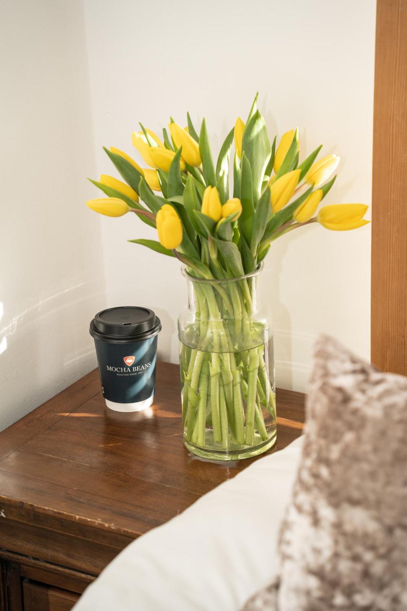 Bed and Breakfast Mocha Newcastle Голвей Екстер'єр фото